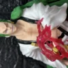 Zoro Roronoa de One Piece
