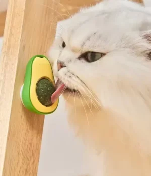 Catnip para gatos x3 unidades